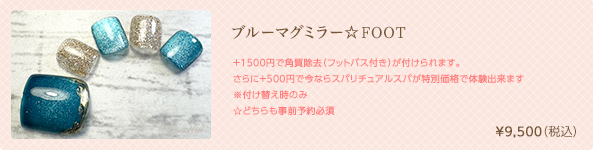 ブルーマグミラー☆FOOT　¥9,500（税込）
