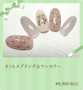 さくらスプリング☆ワンカラー　¥9,900（税込）