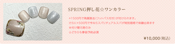 SPRING押し花☆ワンカラー　¥10,000（税込）