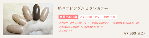箔キラシンプル✩ワンカラー　¥7,380（税込）